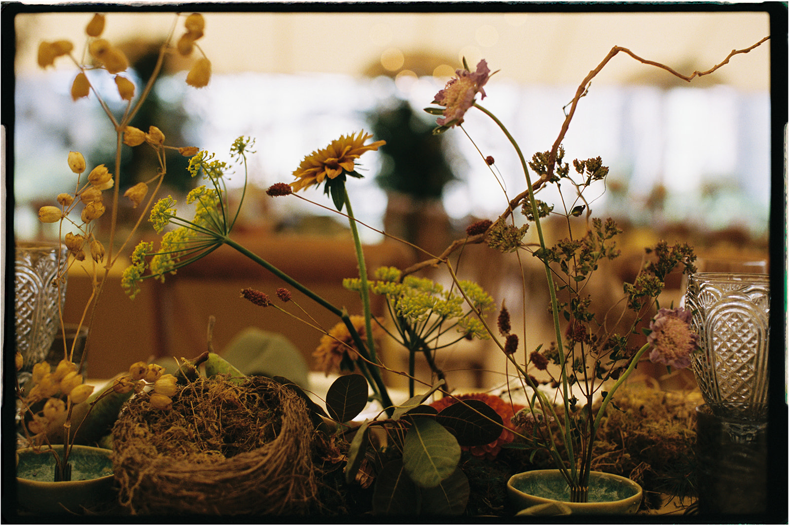 Textural floral arrangement with moss, roots, and delicate wild blooms, photographed on 35mm film.
