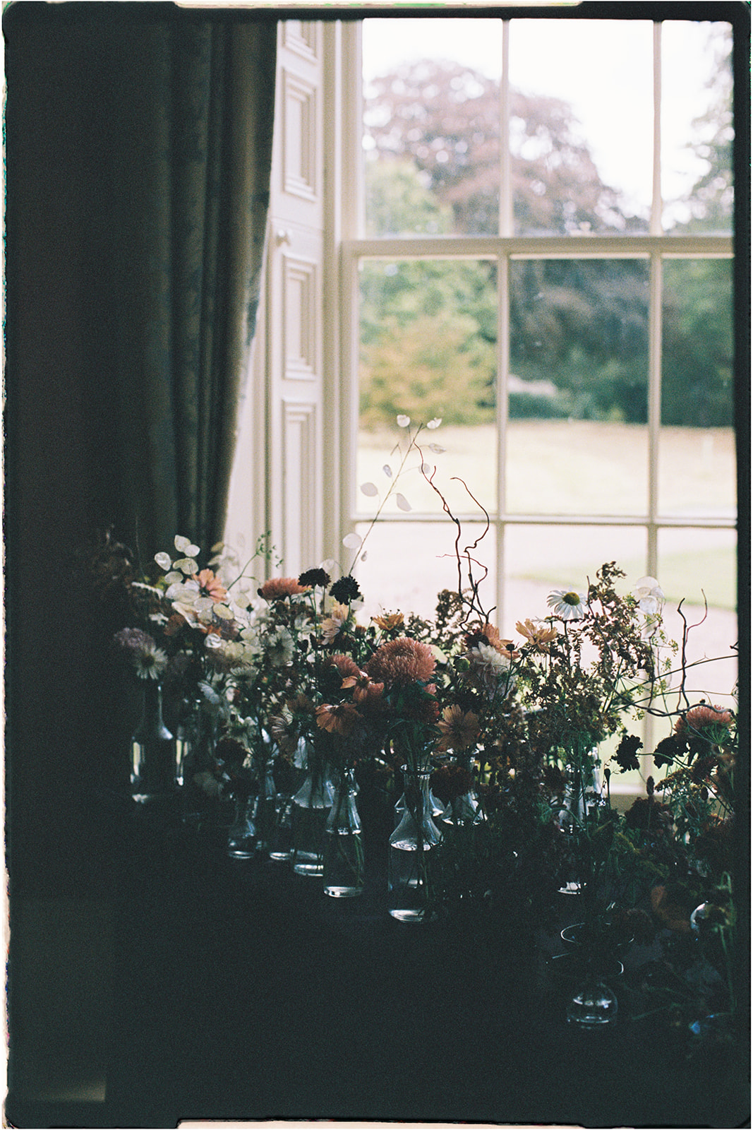 Collection of flowers and greenery arranged beside a tall window at Tupelo Tree’s studio in Scotland.