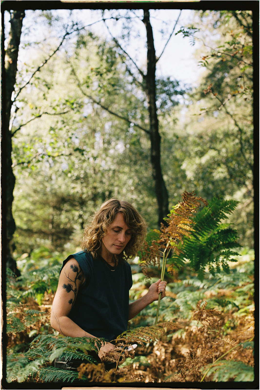 Tupelo Tree florist gathering ferns in a forest clearing, surrounded by sunlight and green foliage.
